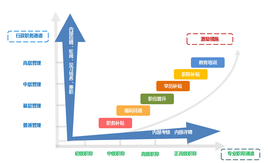 雙軌制職業規劃發展體系